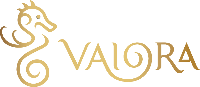 logo VAIORA