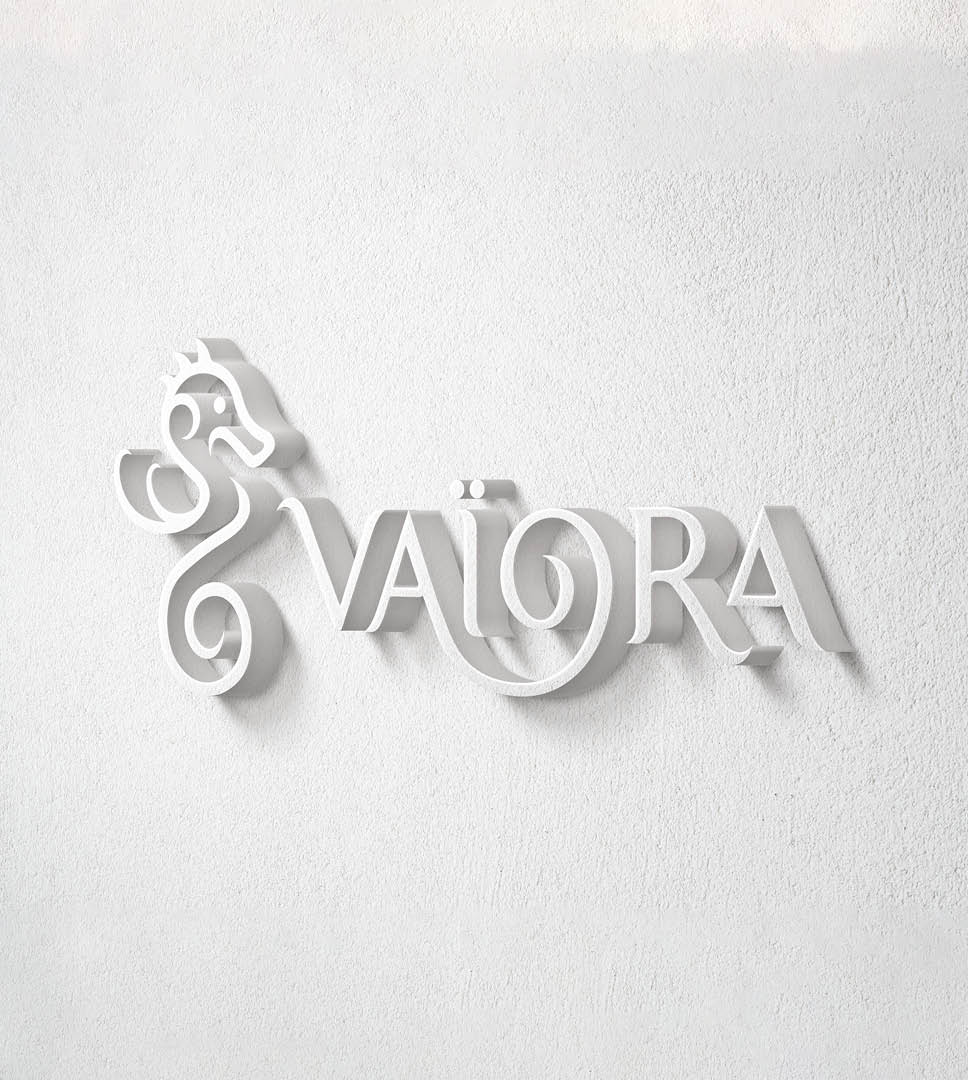 logo2 VAIORA