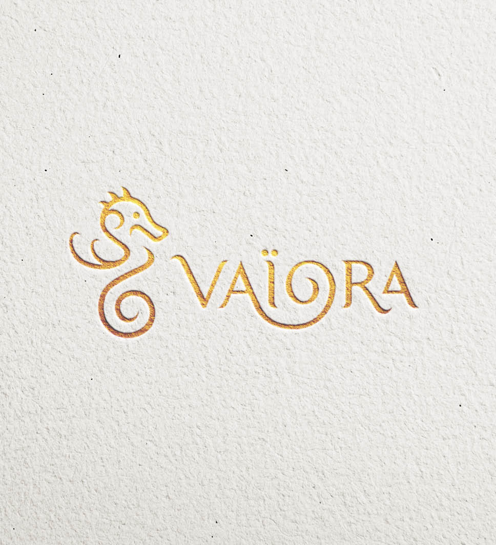 logo3 VAIORA